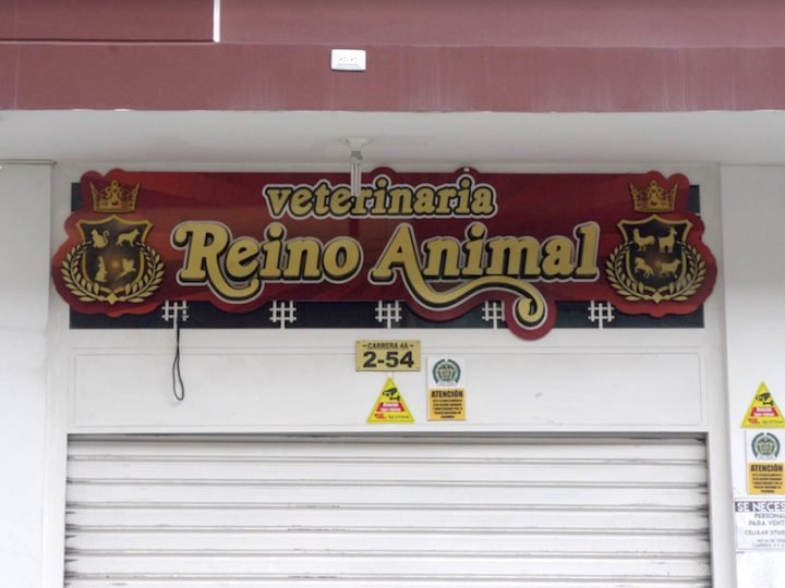 VETERINARIA REINO ANIMAL