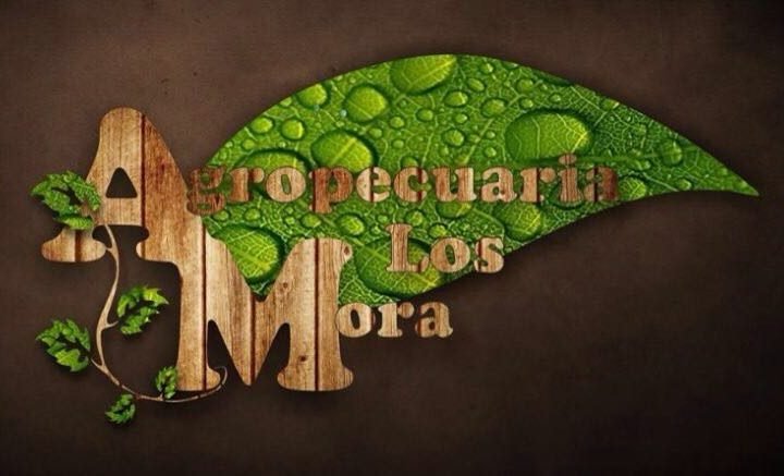 AGROPECUARIA LOS MORA
